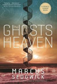 bokomslag The Ghosts of Heaven