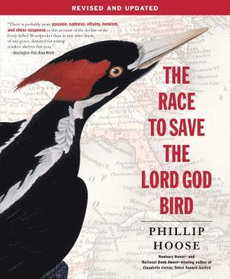 bokomslag The Race to Save the Lord God Bird