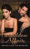 bokomslag Forbidden Affair