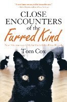 bokomslag Close Encounters of the Furred Kind: New Adventures with My Sad Cat & Other Feline Friends