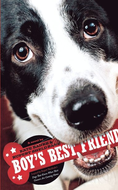 Kate Banks, Rupert Sheldrake - Boy's Best Friend, Häftad