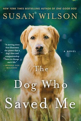 Susan Wilson - The Dog Who Saved Me, Häftad
