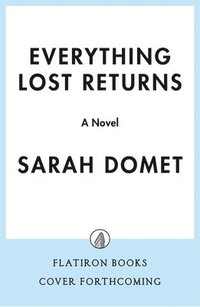 bokomslag Everything Lost Returns