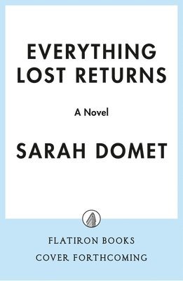 bokomslag Everything Lost Returns