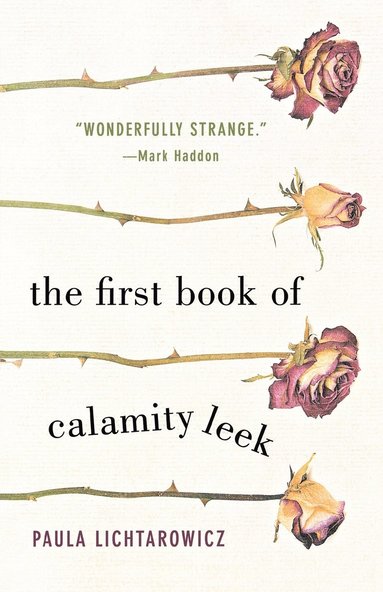 bokomslag First Book of Calamity Leek