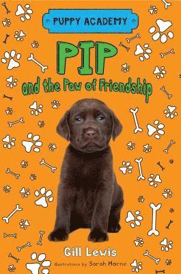 bokomslag Pip and the Paw of Friendship
