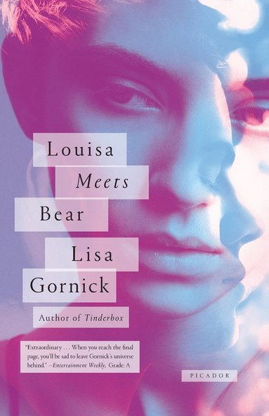 bokomslag Louisa Meets Bear