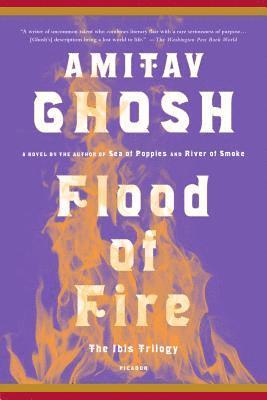 bokomslag Flood Of Fire