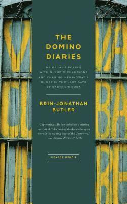 bokomslag Domino Diaries