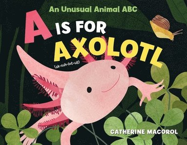 bokomslag A is for Axolotl: An Unusual Animal ABC