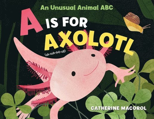 A is for Axolotl: An Unusual Animal ABC 1