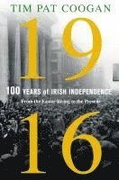 bokomslag 1916: One Hundred Years of Irish Independence: From the Easter Rising to the Present