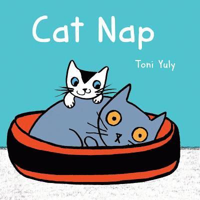 Cat Nap 1