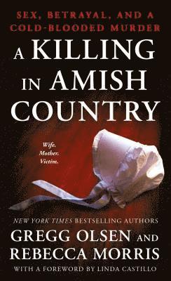 bokomslag A Killing in Amish Country