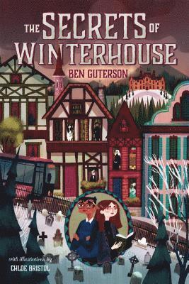 bokomslag The Secrets of Winterhouse