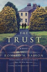 bokomslag Trust