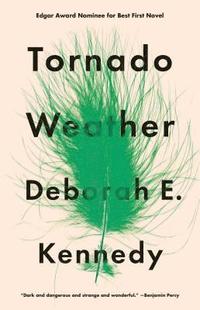 bokomslag Tornado Weather