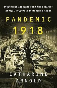 bokomslag Pandemic 1918