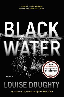 bokomslag Black Water