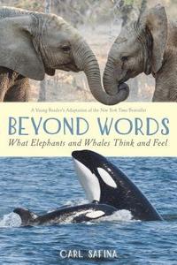 bokomslag Beyond Words: What Elephants and Whales Think and Feel