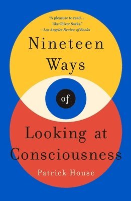 bokomslag Nineteen Ways Of Looking At Consciousness