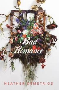 bokomslag Bad Romance