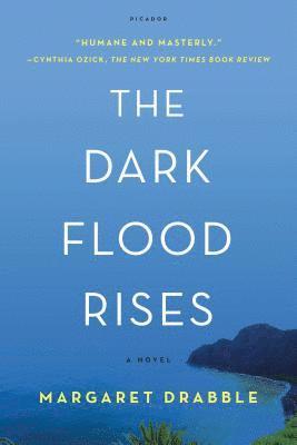 Margaret Drabble - Dark Flood Rises, Häftad
