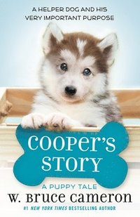 bokomslag Cooper's Story