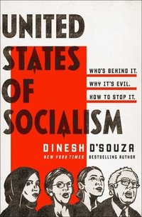 bokomslag The United States of Socialism