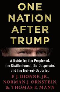 bokomslag One Nation After Trump