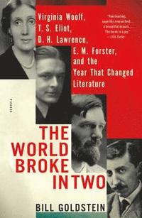 bokomslag The World Broke in Two