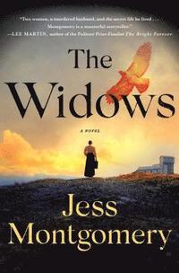 bokomslag Montgomery, J: Widows