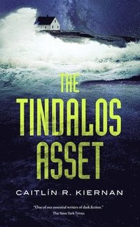 bokomslag The Tindalos Asset