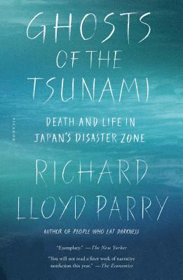 bokomslag Ghosts Of The Tsunami
