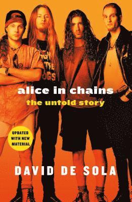 bokomslag Alice In Chains