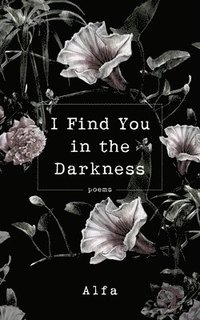 bokomslag I Find You in the Darkness