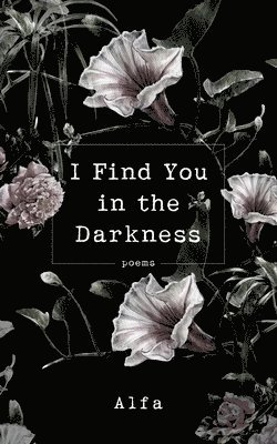 bokomslag I Find You in the Darkness