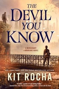 bokomslag Devil You Know