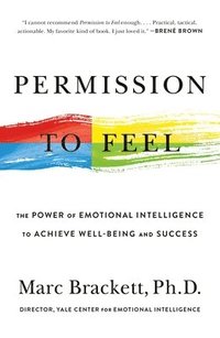 bokomslag Permission to Feel