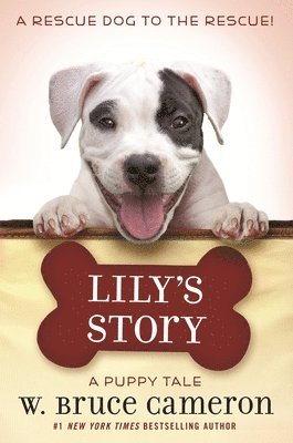 bokomslag Lily's Story