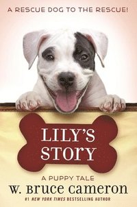 bokomslag Lily's Story: A Puppy Tale