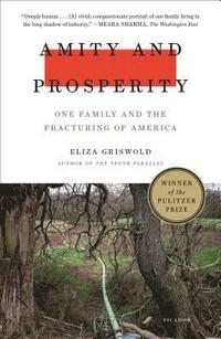 bokomslag Amity and Prosperity: One Family and the Fracturing of America
