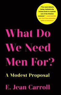 bokomslag What Do We Need Men For?