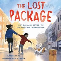 bokomslag The Lost Package