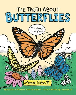 bokomslag The Truth about Butterflies
