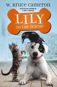 bokomslag Lily To The Rescue