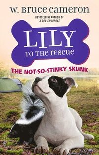 bokomslag Lily To The Rescue: The Not-so-stinky Skunk