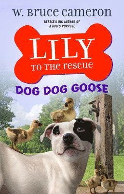 bokomslag Dog Dog Goose