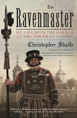 bokomslag Ravenmaster