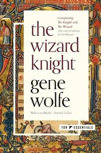 bokomslag The Wizard Knight